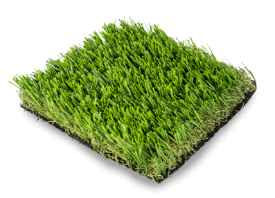 artificial grass in transparent background.