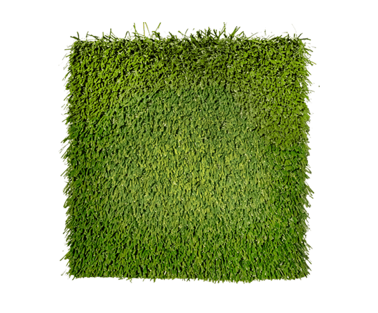 pet turf product