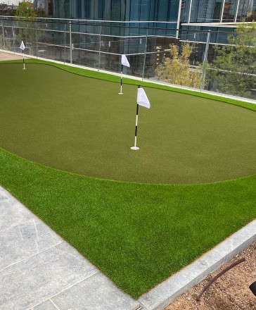 mini golf putting green area