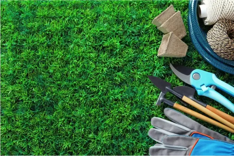 Artificial Turf grass - 10 Tips to Keep Your Artificial Grass Lawn Pristine All Year Round