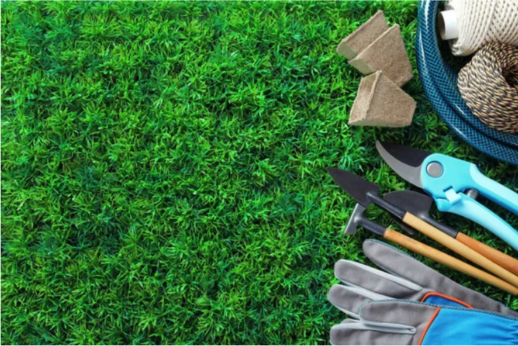 Keeping your artificial grass fresh whole year