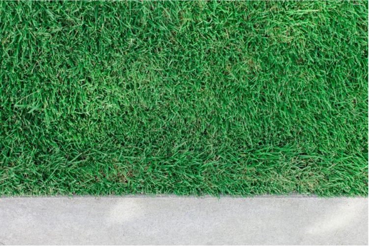 Artificial turf lifespan